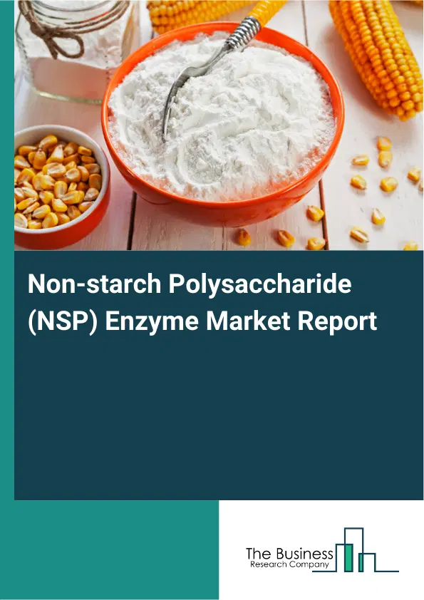 Global Non-starch Polysaccharide (NSP) Enzyme Market Report 2026 Global Non-starch Polysaccharide (NSP) Enzyme Market Report 2026