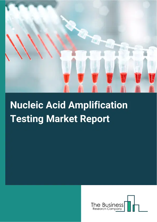 Global Nucleic Acid Amplification Testing Market Report 2026 Global Nucleic Acid Amplification Testing Market Report 2026