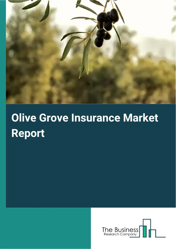 Olive Grove Insurance Market Report 2026 Olive Grove Insurance Market Report 2026