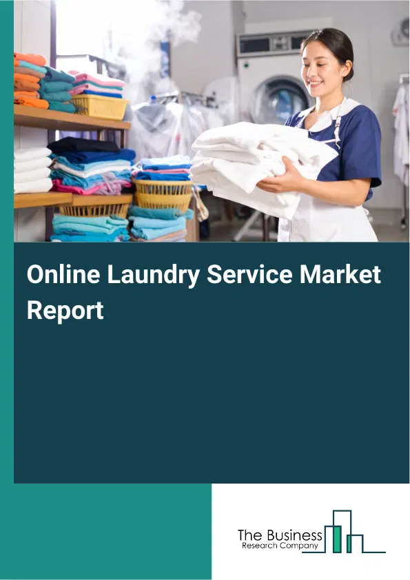 Global Online Laundry Service Market Report 2026 Global Online Laundry Service Market Report 2026