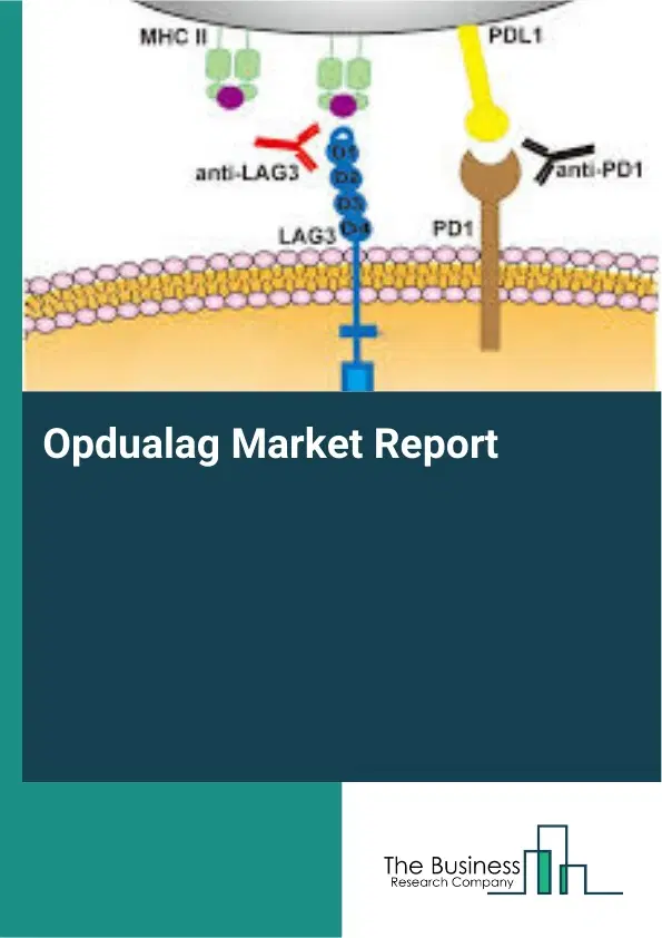 Global Opdualag Market Report 2026 Global Opdualag Market Report 2026