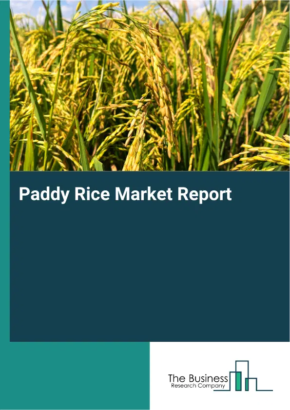 Global Paddy Rice Market Report 2026 Global Paddy Rice Market Report 2026