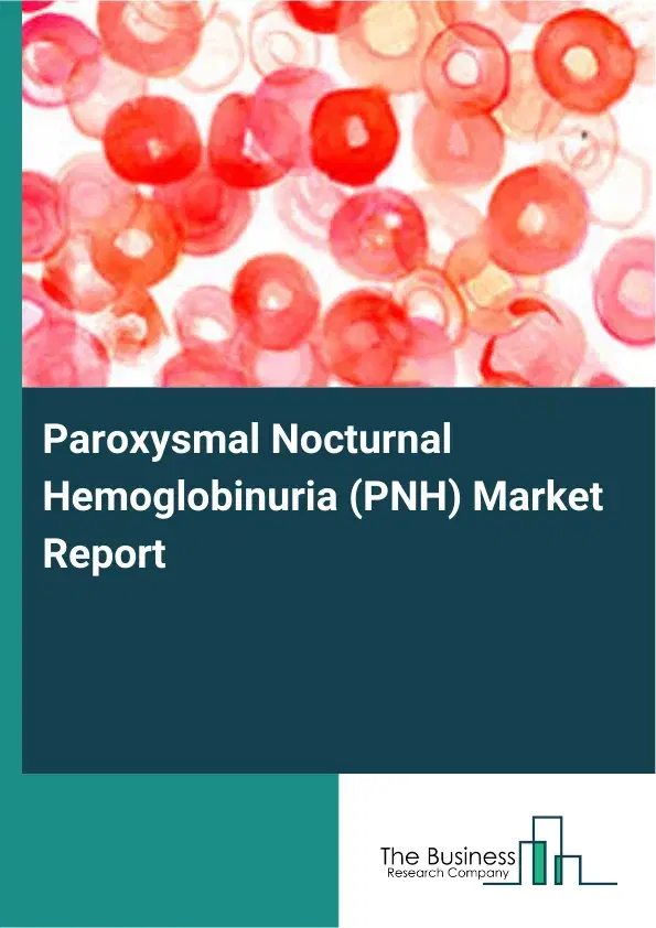 Global Paroxysmal Nocturnal Hemoglobinuria (PNH) Market Report 2026 Global Paroxysmal Nocturnal Hemoglobinuria (PNH) Market Report 2026
