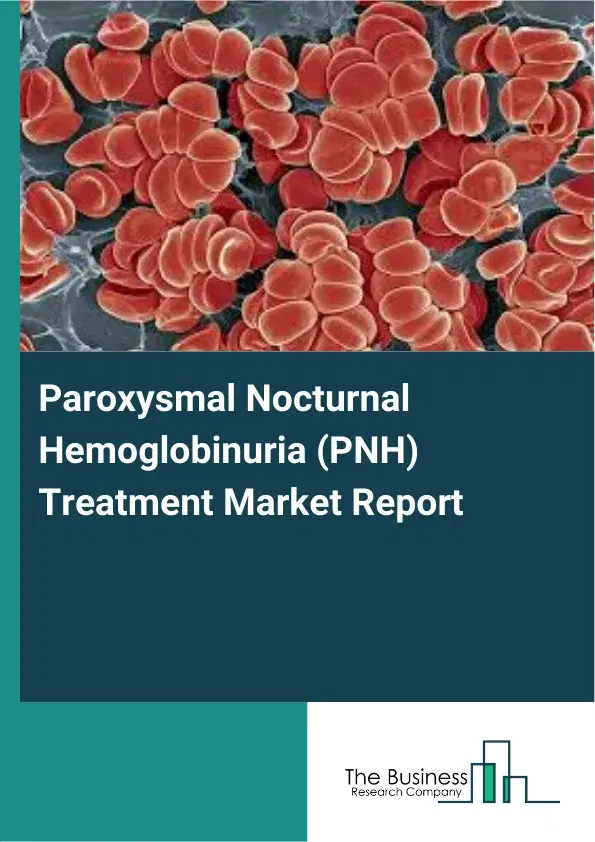 Global Paroxysmal Nocturnal Hemoglobinuria (PNH) Treatment Market Report 2026 Global Paroxysmal Nocturnal Hemoglobinuria (PNH) Treatment Market Report 2026