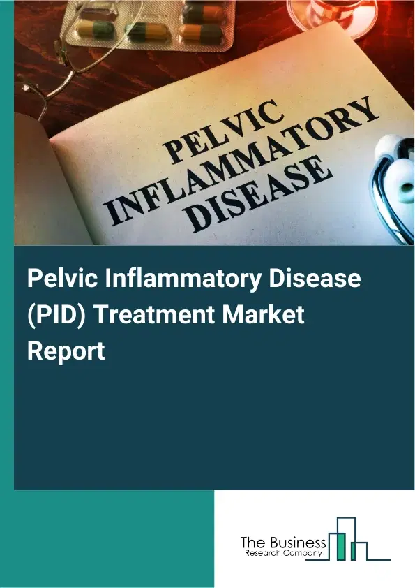 Global Pelvic Inflammatory Disease (PID) Treatment Market Report 2026 Global Pelvic Inflammatory Disease (PID) Treatment Market Report 2026