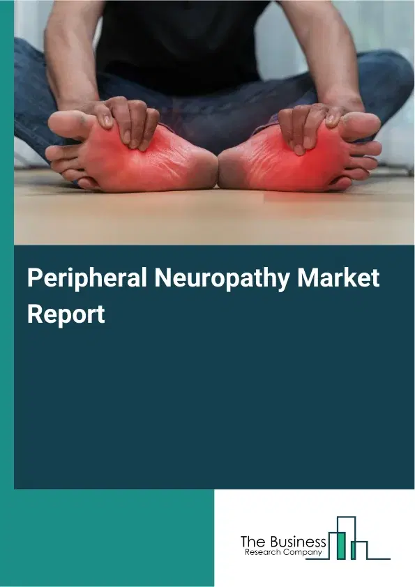Global Peripheral Neuropathy Market Report 2026 Global Peripheral Neuropathy Market Report 2026
