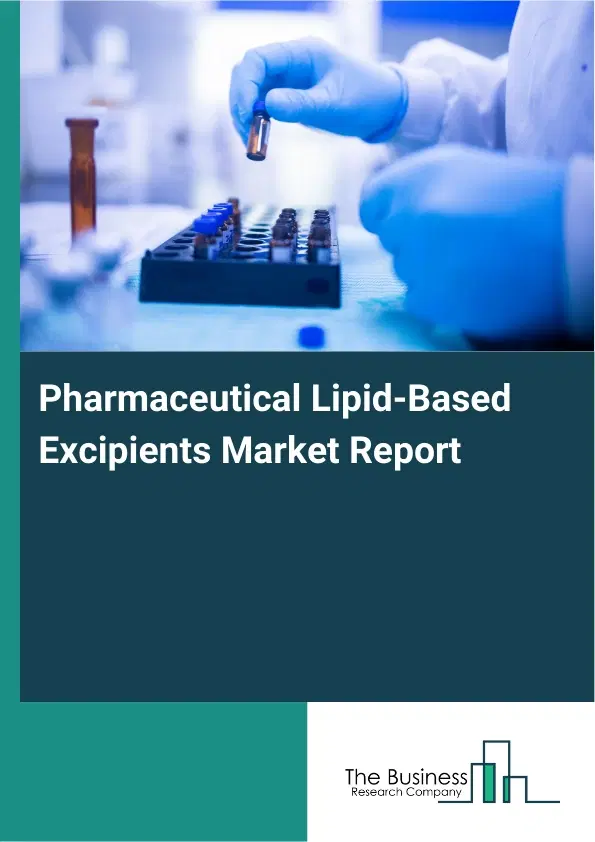 Global Pharmaceutical Lipid-Based Excipients Market Report 2026 Global Pharmaceutical Lipid-Based Excipients Market Report 2026