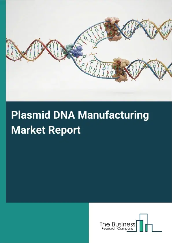 Global Plasmid DNA Manufacturing Market Report 2026 Global Plasmid DNA Manufacturing Market Report 2026