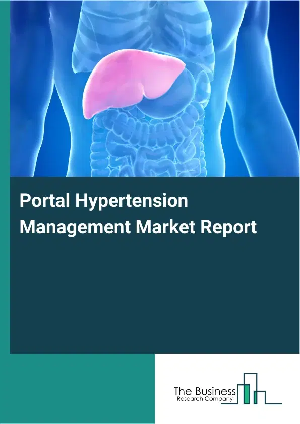 Global Portal Hypertension Management Market Report 2026 Global Portal Hypertension Management Market Report 2026