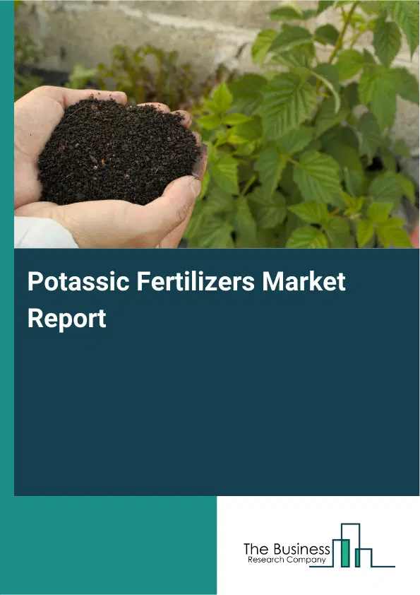 Global Potassic Fertilizers Market Report 2026 Global Potassic Fertilizers Market Report 2026