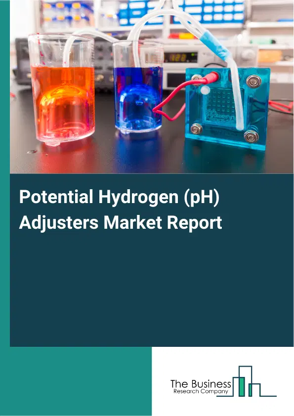 Global Potential Hydrogen (pH) Adjusters Market Report 2026 Global Potential Hydrogen (pH) Adjusters Market Report 2026