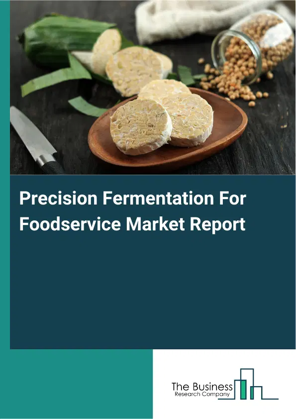 Global Precision Fermentation For Foodservice Market Report 2026 Global Precision Fermentation For Foodservice Market Report 2026