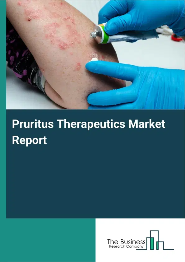 Global Pruritus Therapeutics Market Report 2026 Global Pruritus Therapeutics Market Report 2026
