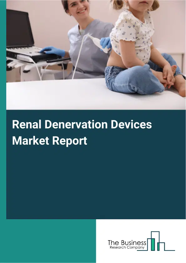 Global Renal Denervation Devices Market Report 2026 Global Renal Denervation Devices Market Report 2026