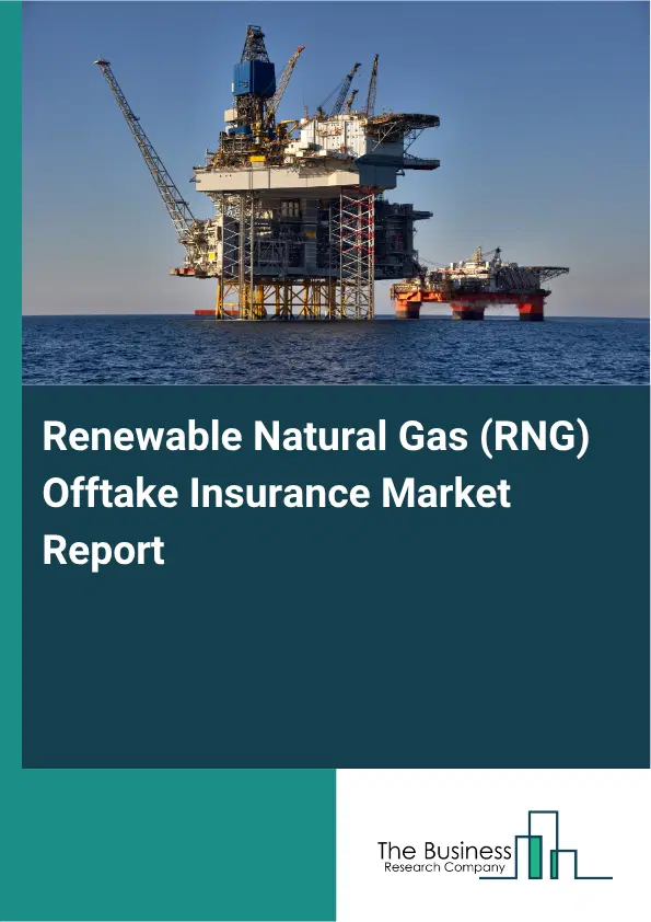 Renewable Natural Gas (RNG) Offtake Insurance Market Report 2026 Renewable Natural Gas (RNG) Offtake Insurance Market Report 2026