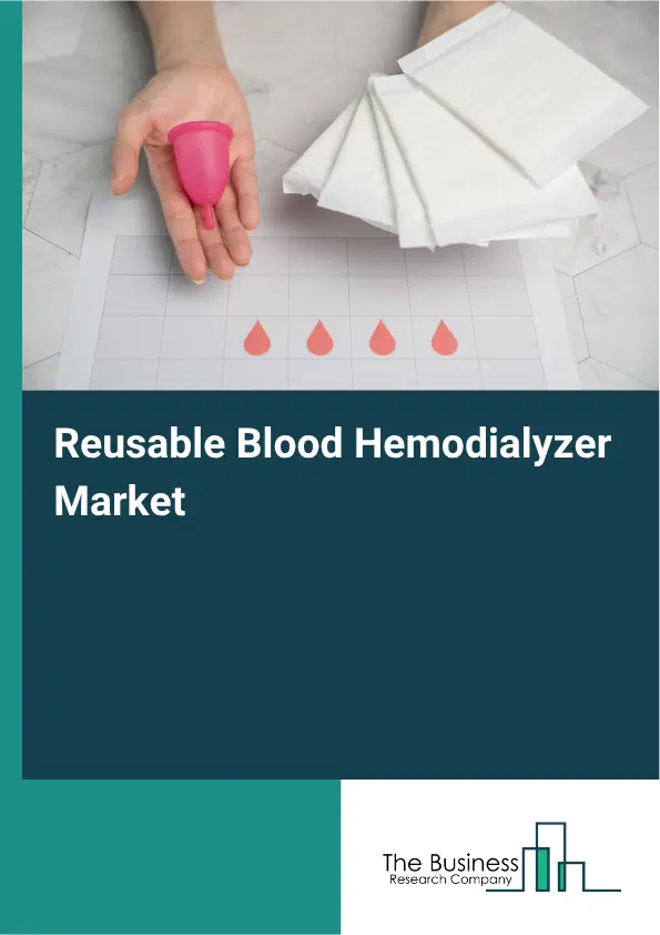 Reusable Blood Hemodialyzer Market Report 2026 Reusable Blood Hemodialyzer Market Report 2026