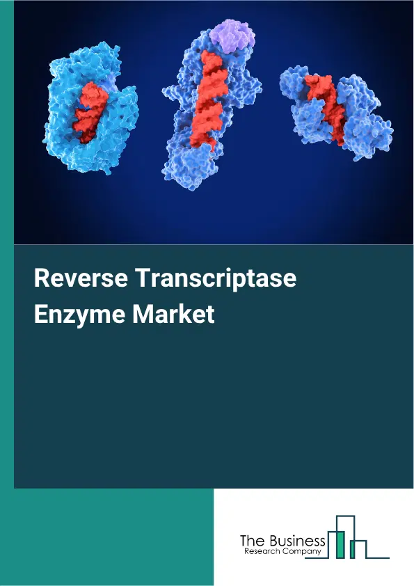 Reverse Transcriptase Enzyme Market Report 2026 Reverse Transcriptase Enzyme Market Report 2026