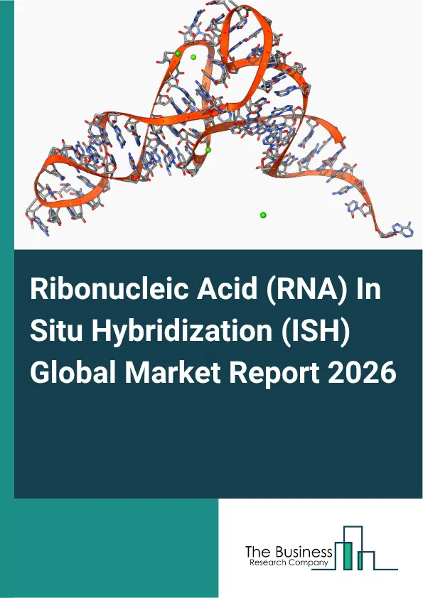 Ribonucleic Acid (RNA) In Situ Hybridization (ISH) Market Report 2026 Ribonucleic Acid (RNA) In Situ Hybridization (ISH) Market Report 2026