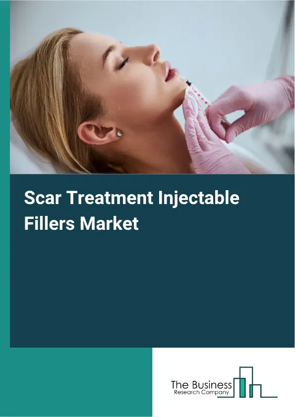 Scar Treatment Injectable Fillers Market Report 2026 Scar Treatment Injectable Fillers Market Report 2026