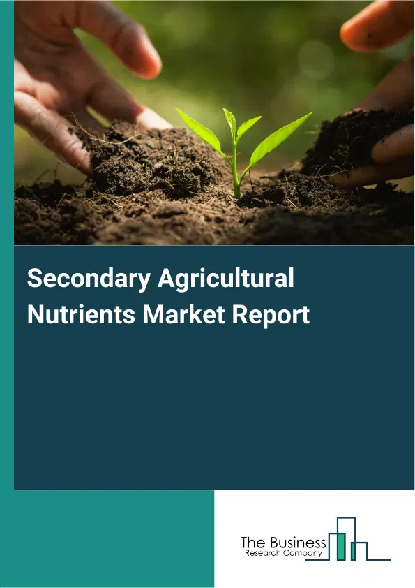 Global Secondary Agricultural Nutrients Market Report 2026 Global Secondary Agricultural Nutrients Market Report 2026