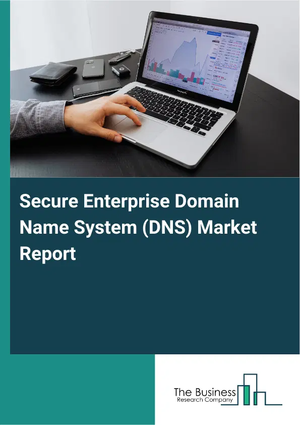 Global Secure Enterprise Domain Name System (DNS) Market Report 2026 Global Secure Enterprise Domain Name System (DNS) Market Report 2026