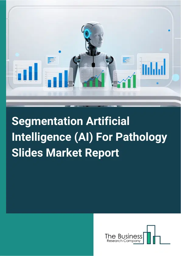 Global Segmentation Artificial Intelligence (AI) For Pathology Slides Market Report 2026 Global Segmentation Artificial Intelligence (AI) For Pathology Slides Market Report 2026