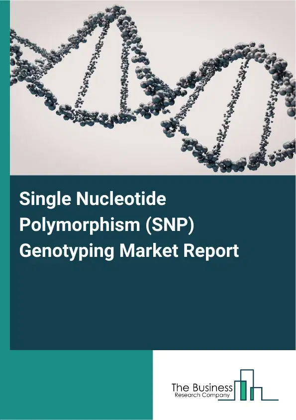 Global Single Nucleotide Polymorphism (SNP) Genotyping Market Report 2026 Global Single Nucleotide Polymorphism (SNP) Genotyping Market Report 2026