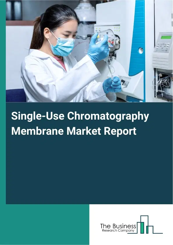 Global Single-Use Chromatography Membrane Market Report 2026 Global Single-Use Chromatography Membrane Market Report 2026