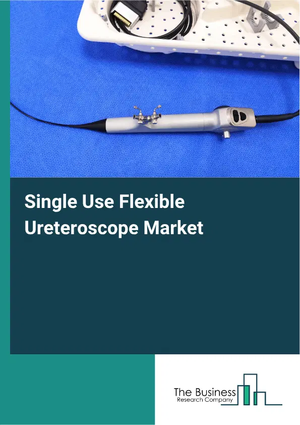 Single Use Flexible Ureteroscope Market Report 2026 Single Use Flexible Ureteroscope Market Report 2026