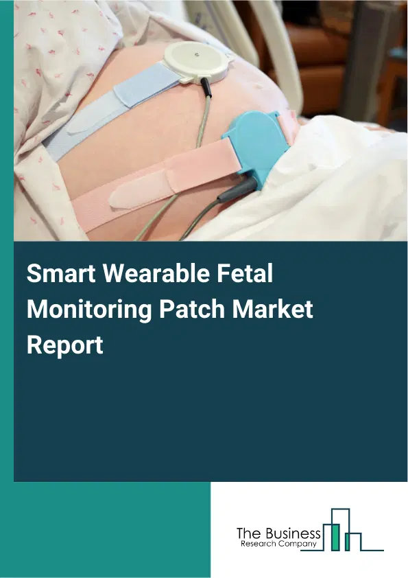 Global Smart Wearable Fetal Monitoring Patch Market Report 2026 Global Smart Wearable Fetal Monitoring Patch Market Report 2026