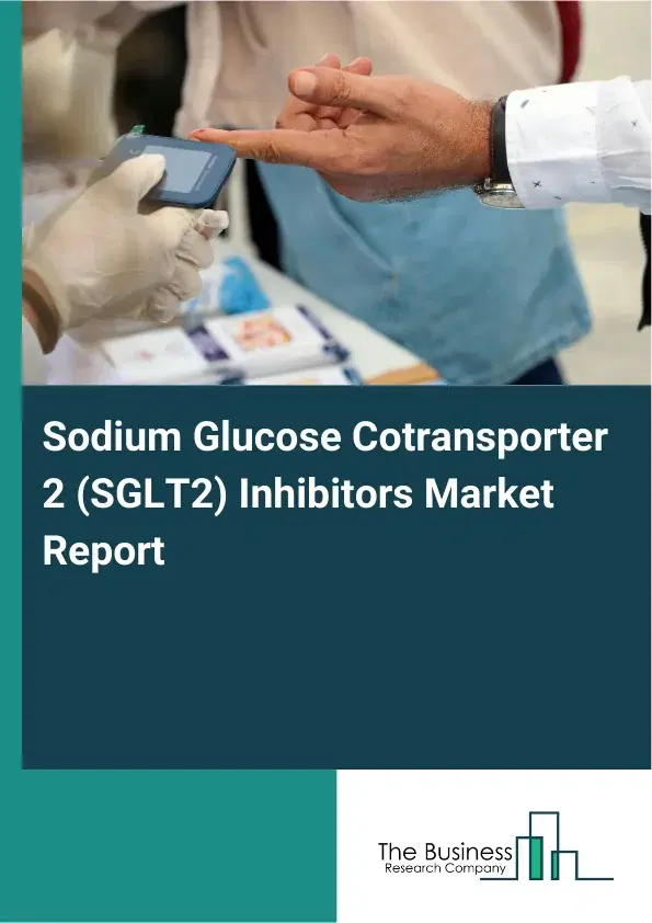 Global Sodium Glucose Cotransporter 2 (SGLT2) Inhibitors Market Report 2026 Global Sodium Glucose Cotransporter 2 (SGLT2) Inhibitors Market Report 2026