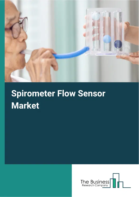 Spirometer Flow Sensor Market Report 2026 Spirometer Flow Sensor Market Report 2026
