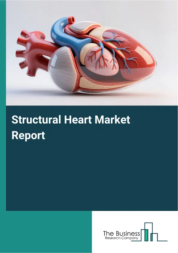 Global Structural Heart Market Report 2026 Global Structural Heart Market Report 2026