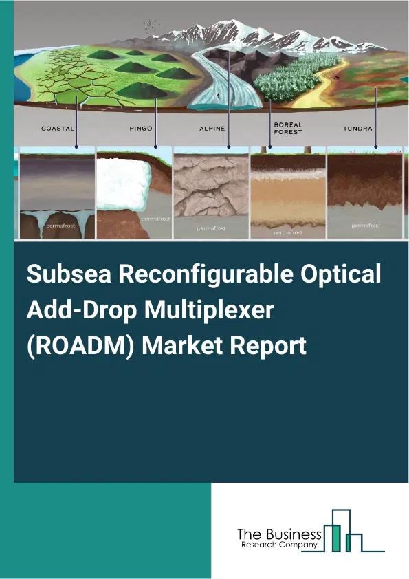 Global Subsea Reconfigurable Optical Add-Drop Multiplexer (ROADM) Market Report 2026 Global Subsea Reconfigurable Optical Add-Drop Multiplexer (ROADM) Market Report 2026