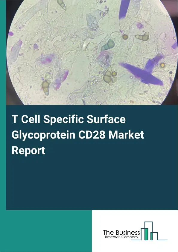 Global T Cell Specific Surface Glycoprotein CD28 Market Report 2026 Global T Cell Specific Surface Glycoprotein CD28 Market Report 2026