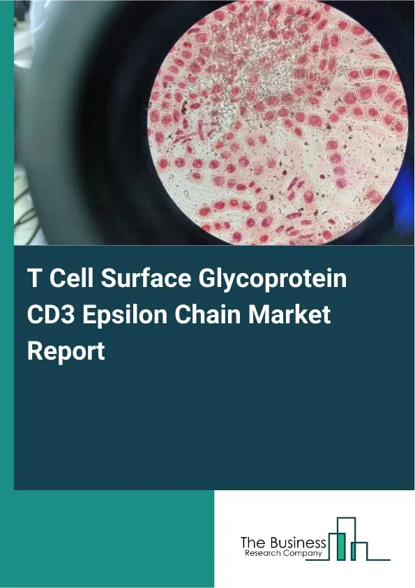 Global T Cell Surface Glycoprotein CD3 Epsilon Chain Market Report 2026 Global T Cell Surface Glycoprotein CD3 Epsilon Chain Market Report 2026