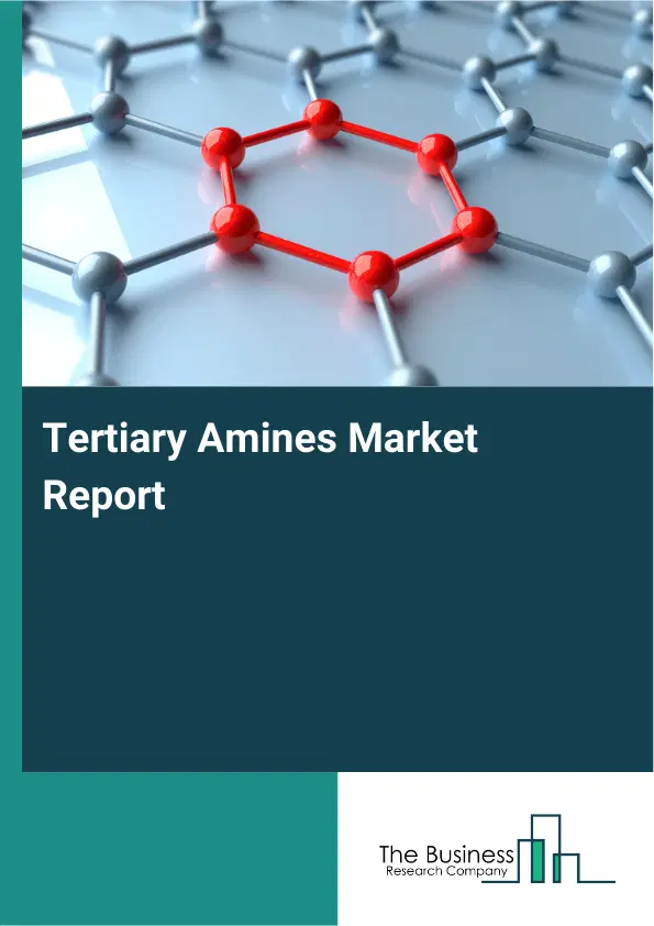 Global Tertiary Amines Market Report 2026 Global Tertiary Amines Market Report 2026