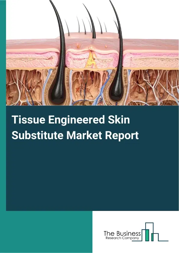 Global Tissue Engineered Skin Substitute Market Report 2026 Global Tissue Engineered Skin Substitute Market Report 2026
