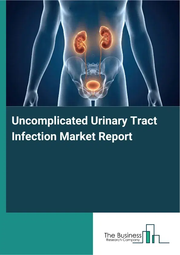 Global Uncomplicated Urinary Tract Infection Market Report 2026 Global Uncomplicated Urinary Tract Infection Market Report 2026