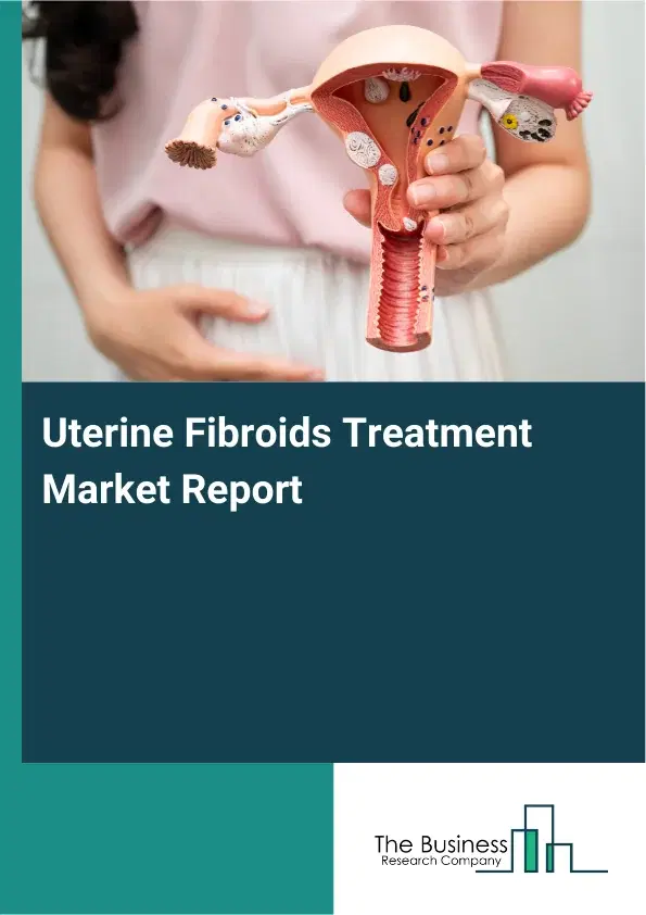 Global Uterine Fibroids Treatment Market Report 2026 Global Uterine Fibroids Treatment Market Report 2026