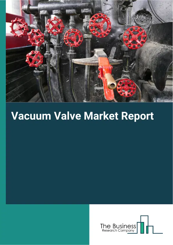 Global Vacuum Valve Market Report 2026 Global Vacuum Valve Market Report 2026