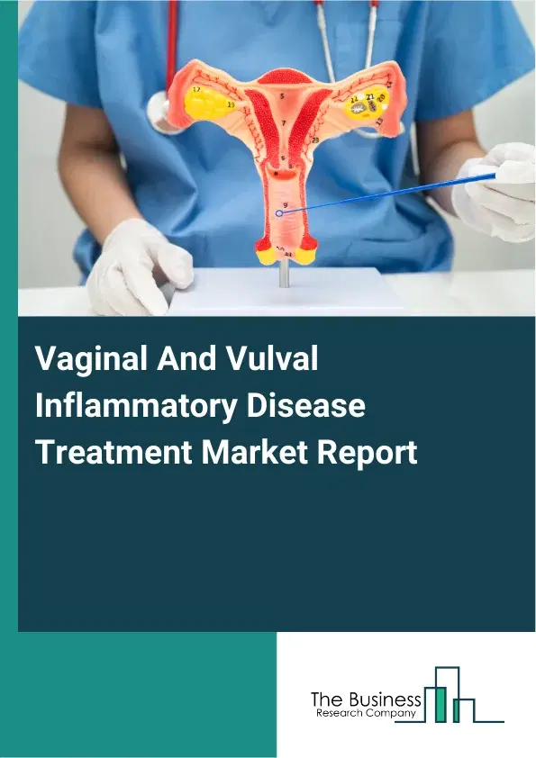 Global Vaginal And Vulval Inflammatory Disease Treatment Market Report 2026 Global Vaginal And Vulval Inflammatory Disease Treatment Market Report 2026