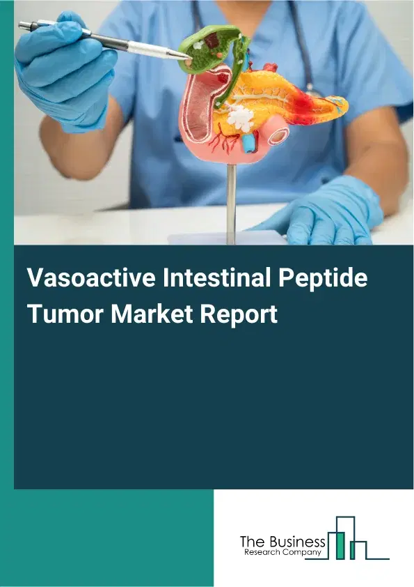 Global Vasoactive Intestinal Peptide Tumor Market Report 2026 Global Vasoactive Intestinal Peptide Tumor Market Report 2026
