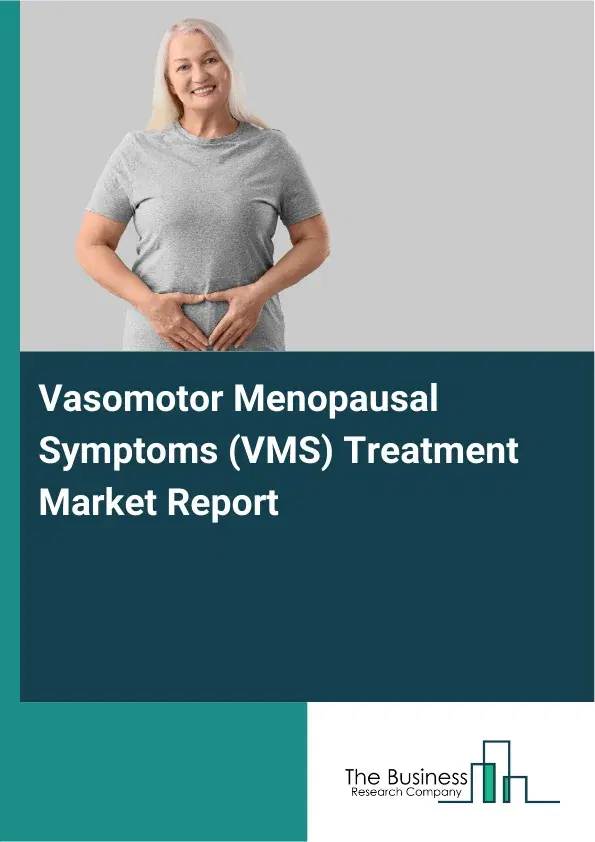 Global Vasomotor Menopausal Symptoms (VMS) Treatment Market Report 2026 Global Vasomotor Menopausal Symptoms (VMS) Treatment Market Report 2026