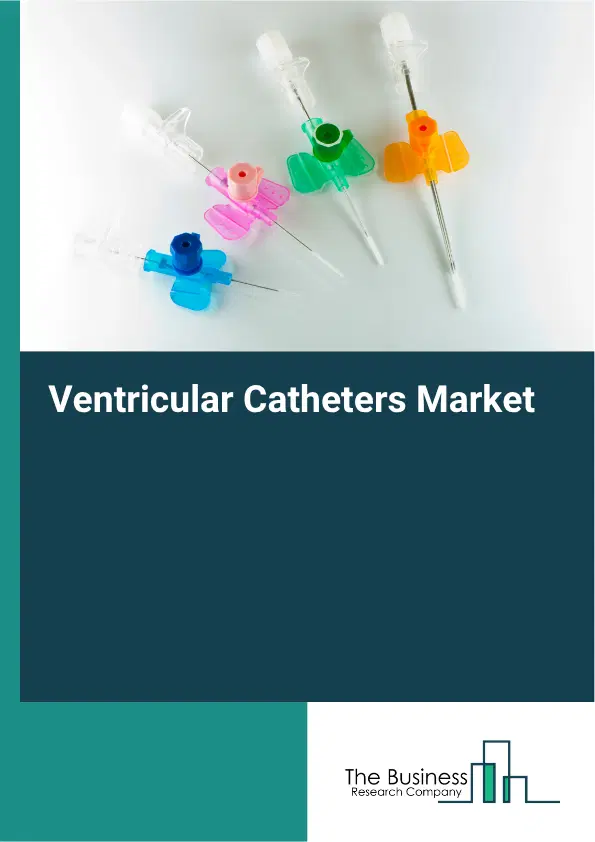 Ventricular Catheters Market Report 2026 Ventricular Catheters Market Report 2026