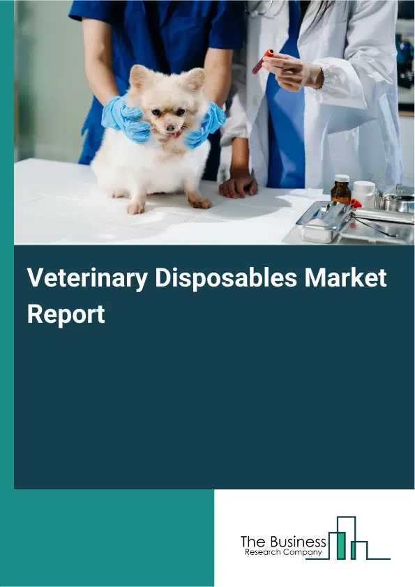Global Veterinary Disposables Market Report 2026 Global Veterinary Disposables Market Report 2026
