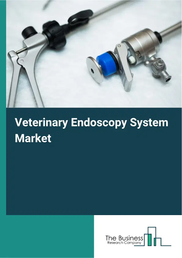 Veterinary Endoscopy System Market Report 2026 Veterinary Endoscopy System Market Report 2026