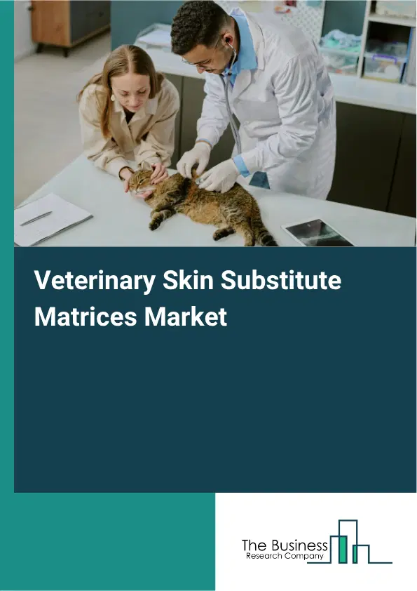 Veterinary Skin Substitute Matrices Market Report 2026 Veterinary Skin Substitute Matrices Market Report 2026