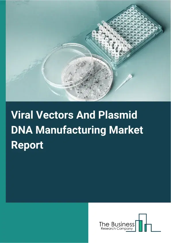 Global Viral Vectors And Plasmid DNA Manufacturing Market Report 2026 Global Viral Vectors And Plasmid DNA Manufacturing Market Report 2026