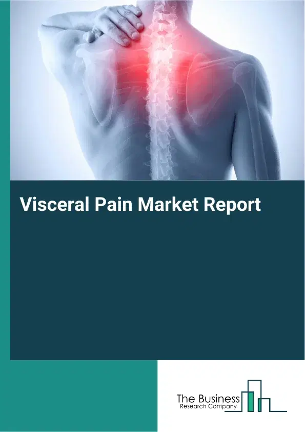 Global Visceral Pain Market Report 2026 Global Visceral Pain Market Report 2026